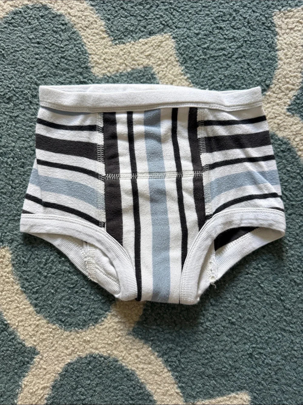 Hanna Andersson Boys Training Briefs Bundle